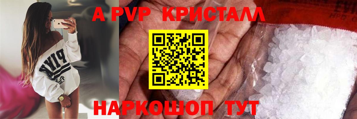 A PVP СК Новоалександровск
