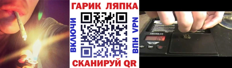 закладка  Новоалександровск  MEGA как зайти  Гашиш 40% ТГК 