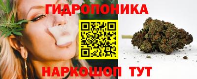 крисы Волжский