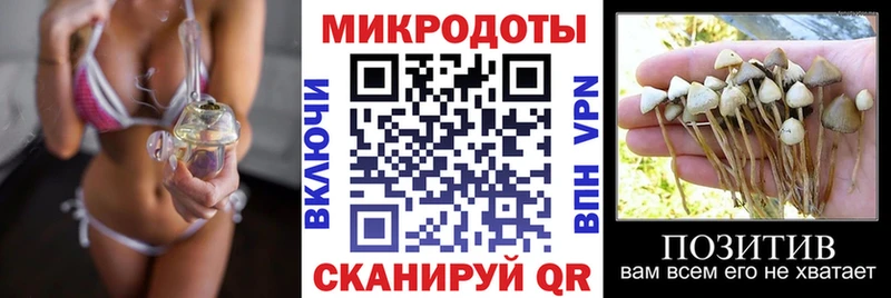 Псилоцибиновые грибы Magic Shrooms  Новоалександровск 