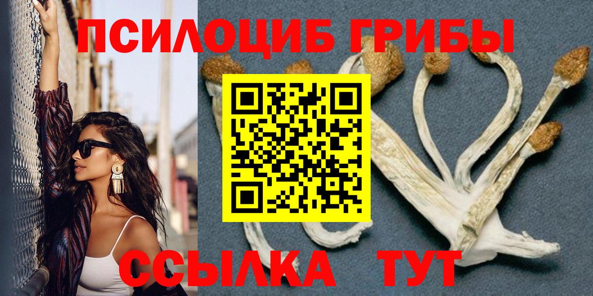 Галлюциногенные грибы мухоморы  Новоалександровск 