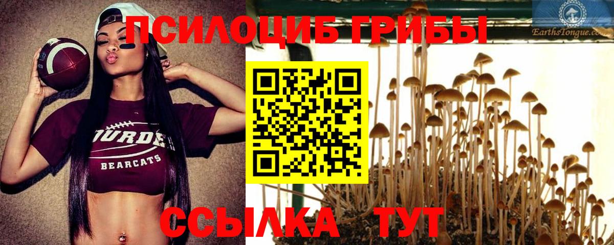 Псилоцибиновые грибы мухоморы Новоалександровск