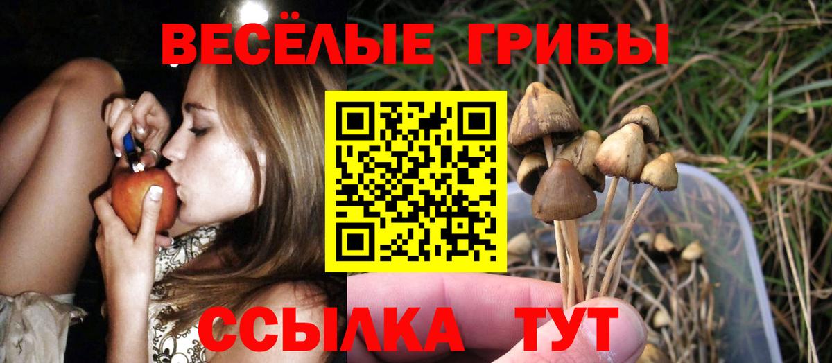 Галлюциногенные грибы Cubensis  Вход с VPN  Новоалександровск  Псилоцибиновые грибы Psilocybe 
