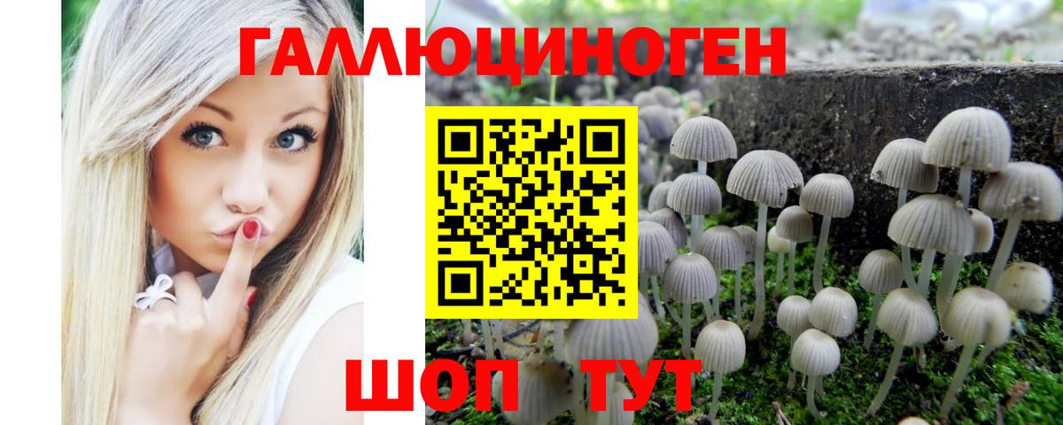 Псилоцибиновые грибы MAGIC MUSHROOMS Новоалександровск