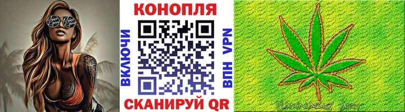 где купить площадка Telegram Канабис White Widow Новоалександровск